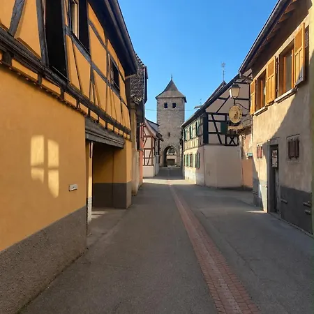 L'ancienne Grange Holiday home Dambach-la-Ville
